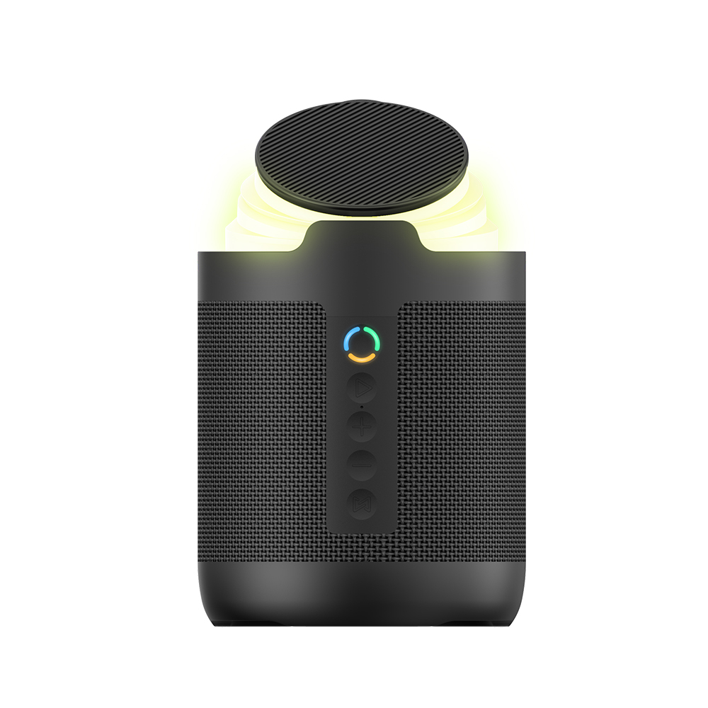 Dyanora Flash 10 W Bluetooth Speaker (Dy-bt10-02-bl) - Color: Black