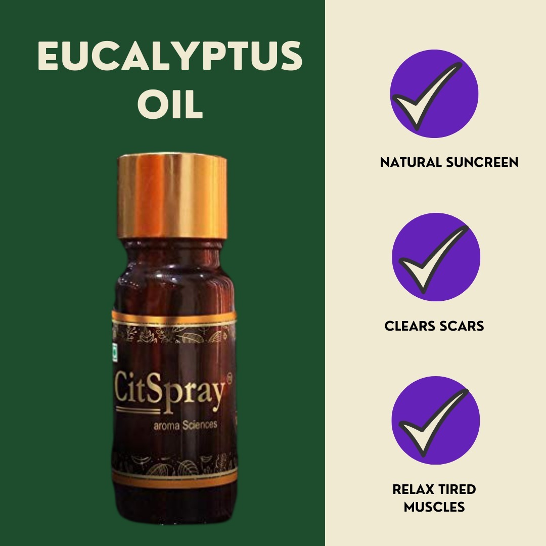 Eucalyptus Oil - 100% Natural Pure Essential Oil, 1 Liter | Fresh Medicinal, Woody, Earthy Aroma, Antimicrobial And Anti-inflammatory, Promotes Skin Moisture And Hair Growth