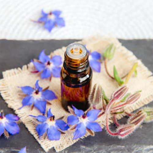 Borage Seed Oil - Age Group: Adults