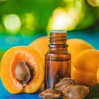 खुबानी के तेल की गंध:: विशेषता