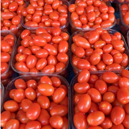 प्राकृतिक लाल टमाटर
