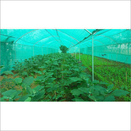 Frp Agricultural Greenhouses Cover Material: Film