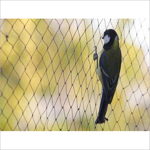 एंटी बर्ड नेट एप्लीकेशन: कृषि