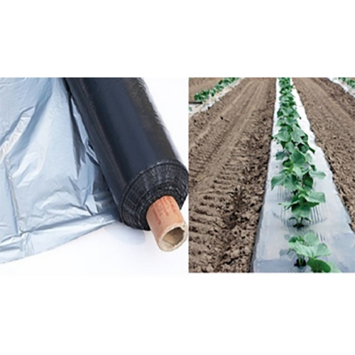 ब्लैक ब्लैक-सिल्वर मल्च फिल्म रोल्स