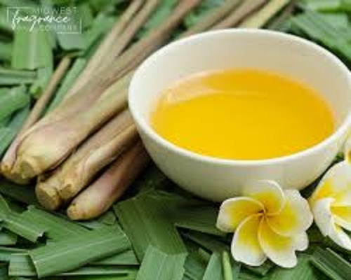 Citronella Fragrance Oil - Age Group: Adults