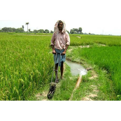 Black Paddy Weeder Machine