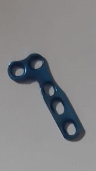 मिनी एल प्लेट