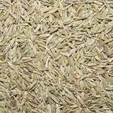 Cumin Seed