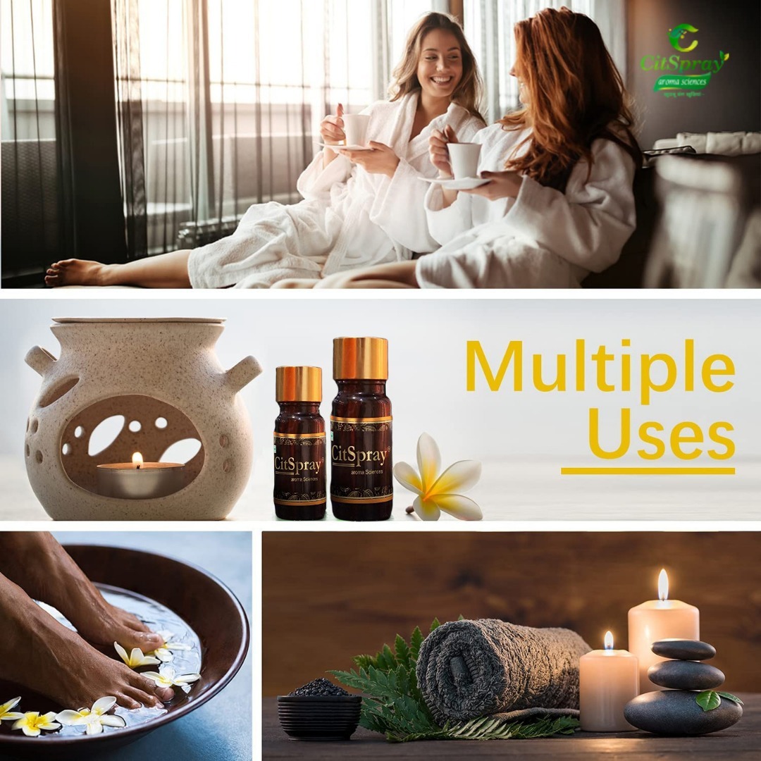 Organic Eucalyptus Oil Odour:: Fresh Medicinal