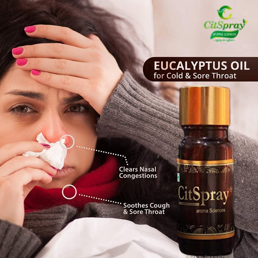 Organic Eucalyptus Oil Odour:: Fresh Medicinal