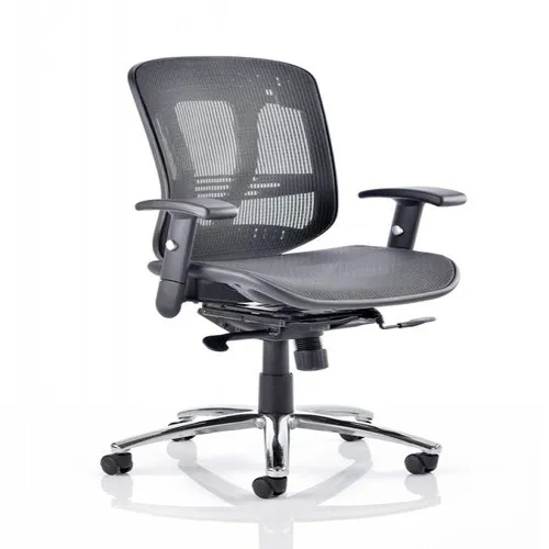 Mesh Office Chair - Plastic, Steel, Polished Finish | Adjustable, Durable, Black and Silver Design