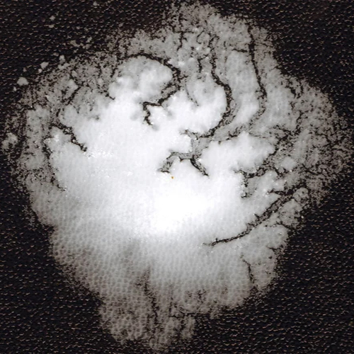 Ascorbic Acid - 99% Pure Powder , High-Quality Vitamin C Supplement for Industrial and Hospital Use