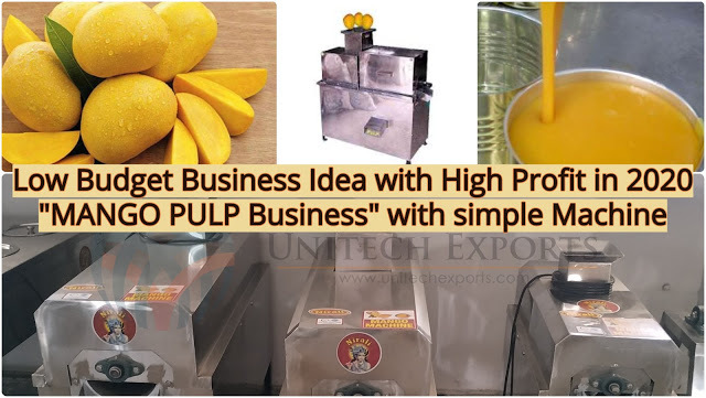 Mango Pulp Machine Domestic