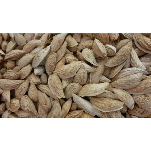 सत्तार बाई बादाम की उत्पत्ति: इंडियन