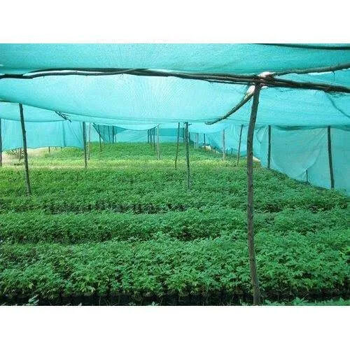 Green Agro Shade Net Base Material: Hdpe