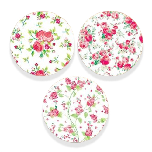 White Disposable Paper Plate