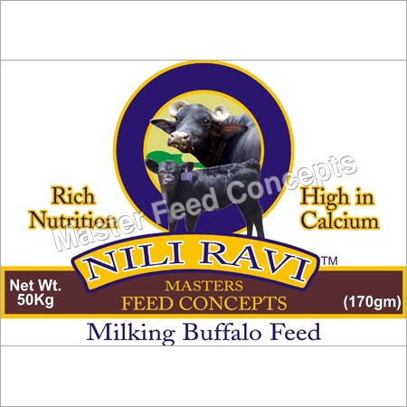 Nili Ravi Buffalo Feed