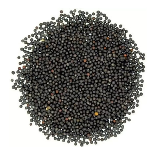 सरसों के बीज की शुद्धता: 99%