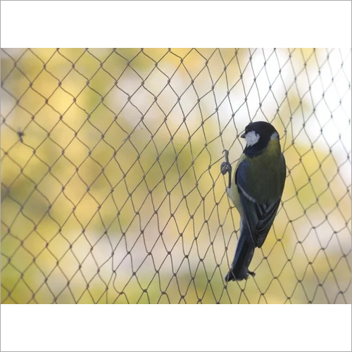 Anti Bird Net - Nylon Mesh 1.25x1.25 Inch, 10-15 Meter Length, Coated Finish, Dust Proof Design