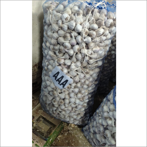 Fresh Garlic - Medium to Big Size, White Color | Raw Processing Form, 99% Moisture, 45 Days Shelf Life, A Grade Quality