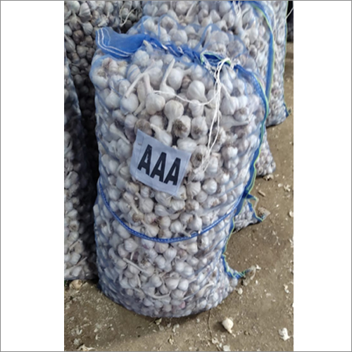 Fresh Garlic - Medium To Big Size, White Color | Raw Processing Form, 99% Moisture, 45 Days Shelf Life, A Grade Quality