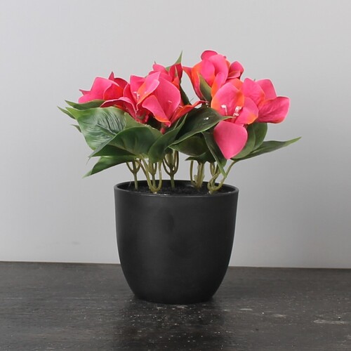 Artificial Flower Pot - Color: Multi-Color