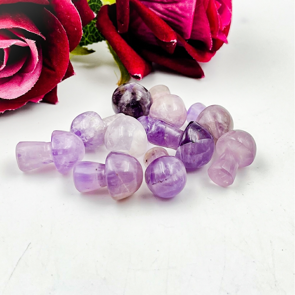 Amethyst Mushroom Grade: Top