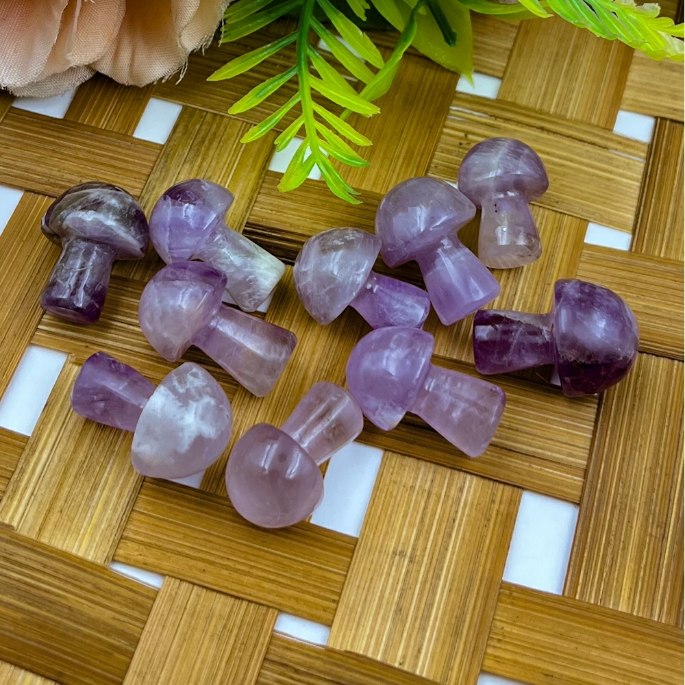 Amethyst Mushroom Grade: Top