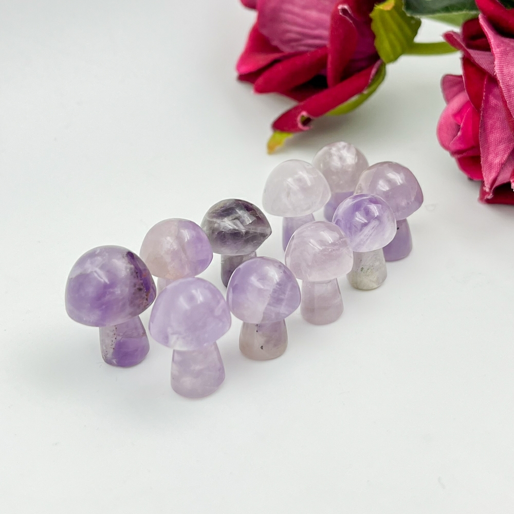 Amethyst Mushroom Grade: Top