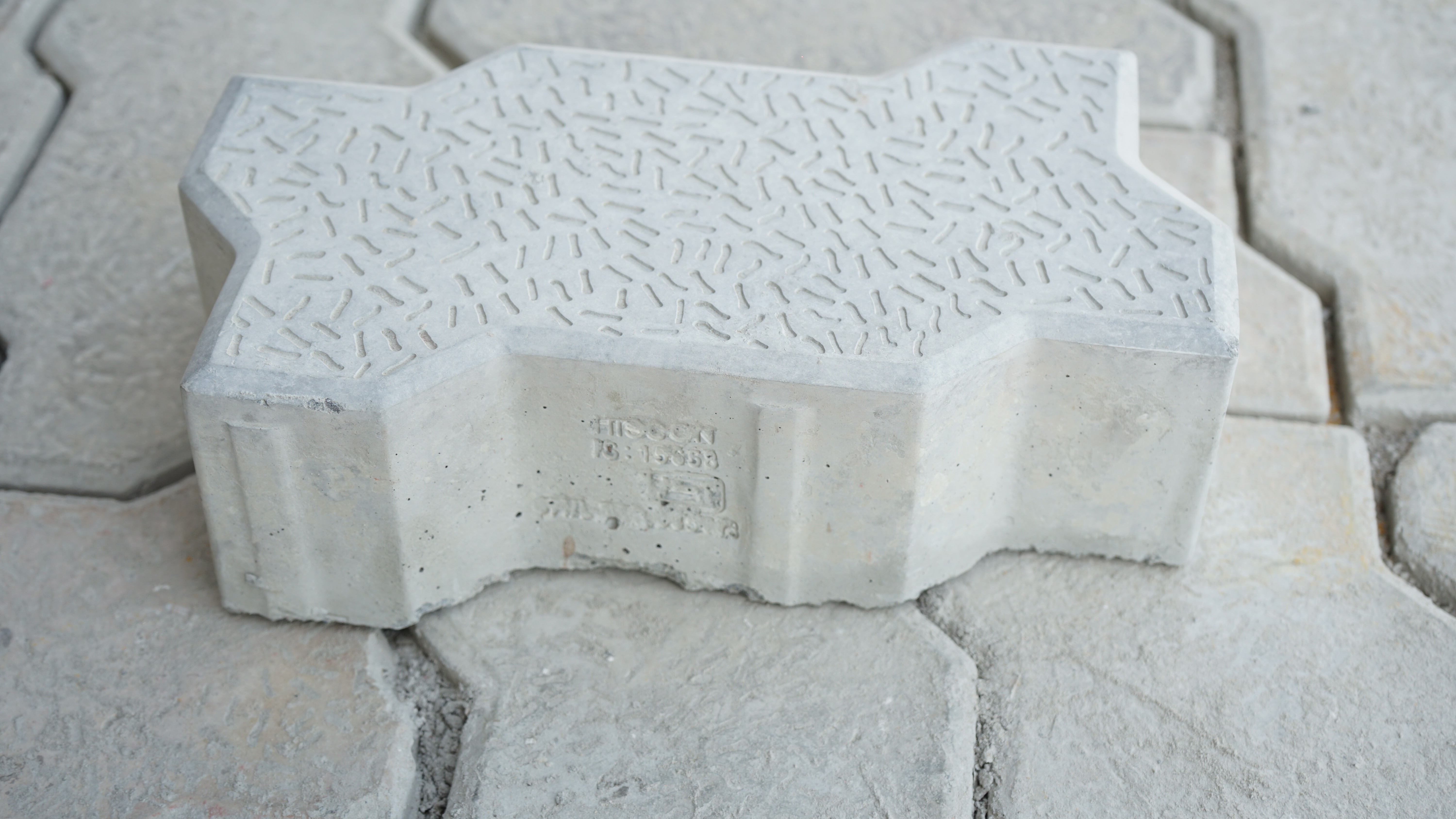 Zebra Designed Pavers - Application: Pavement