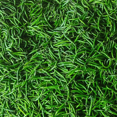 ताजी हरी मिर्च की नमी (%): शून्य