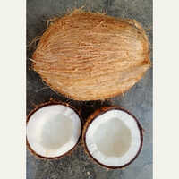 ताजा सफेद नारियल