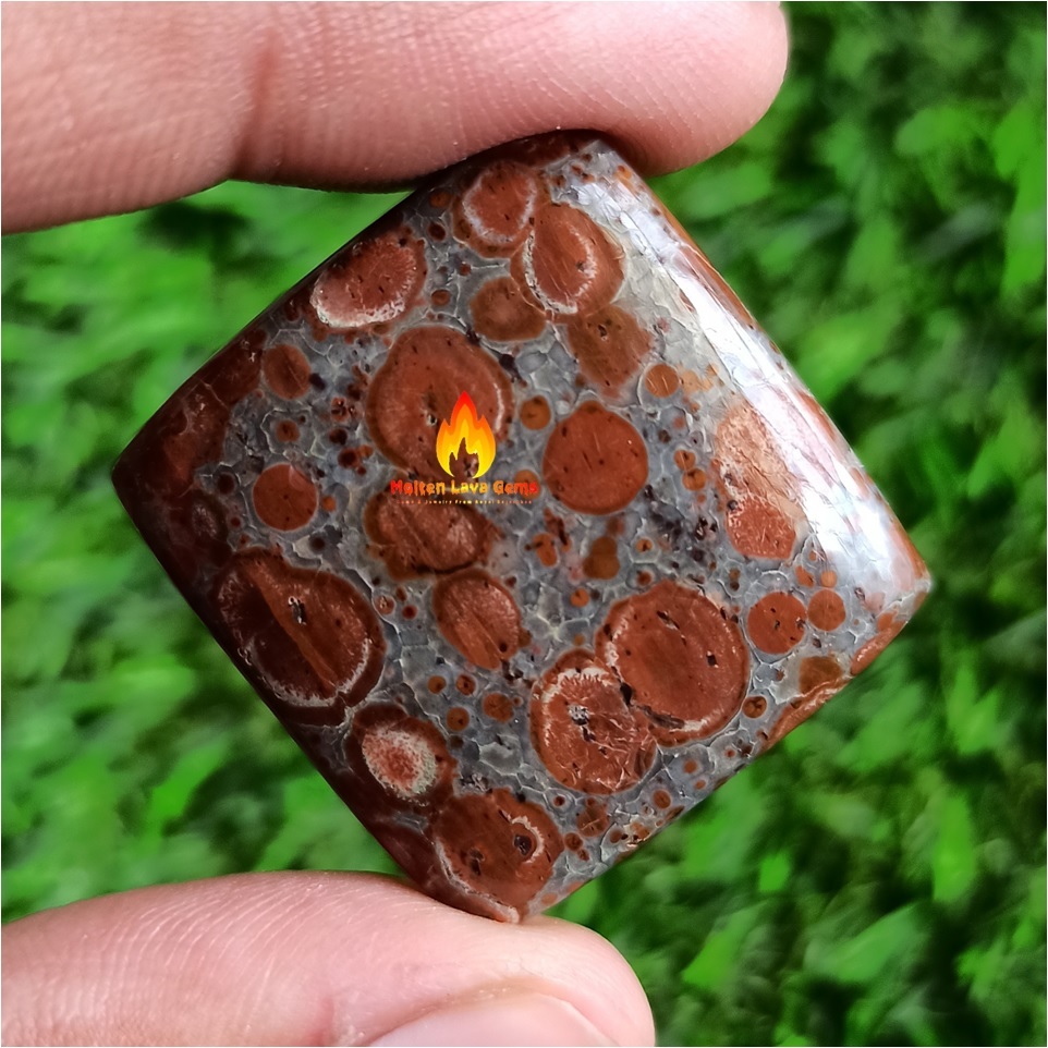 Astroide Jasper Cabochon Grade: Top