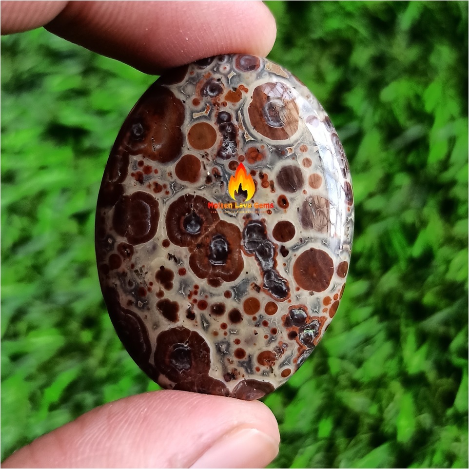 Astroide Jasper Cabochon Grade: Top