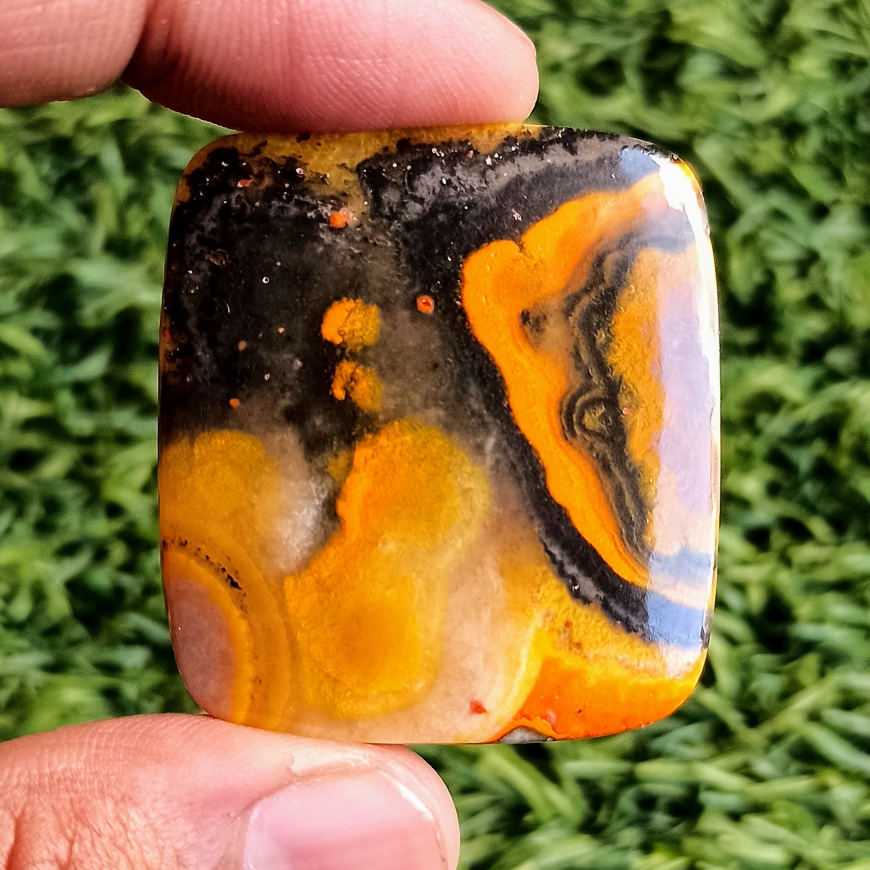 Bumble Bee Jasper Cabochons Grade: Top