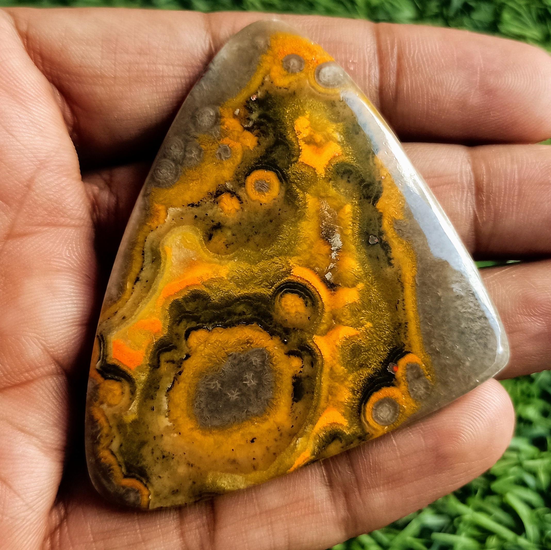 Bumble Bee Jasper Cabochons Grade: Top