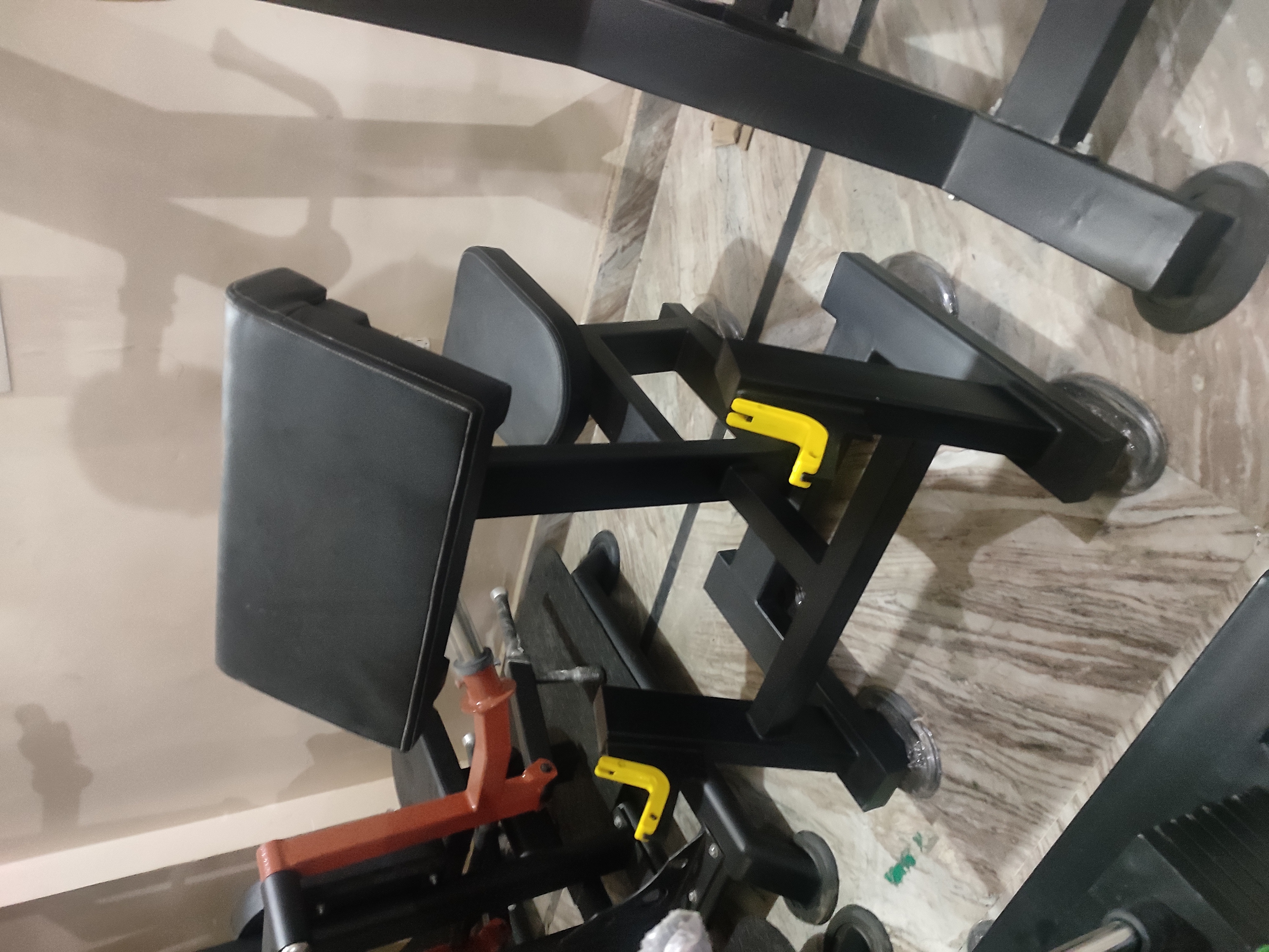 Preacher Curl Bench Application: Endurance