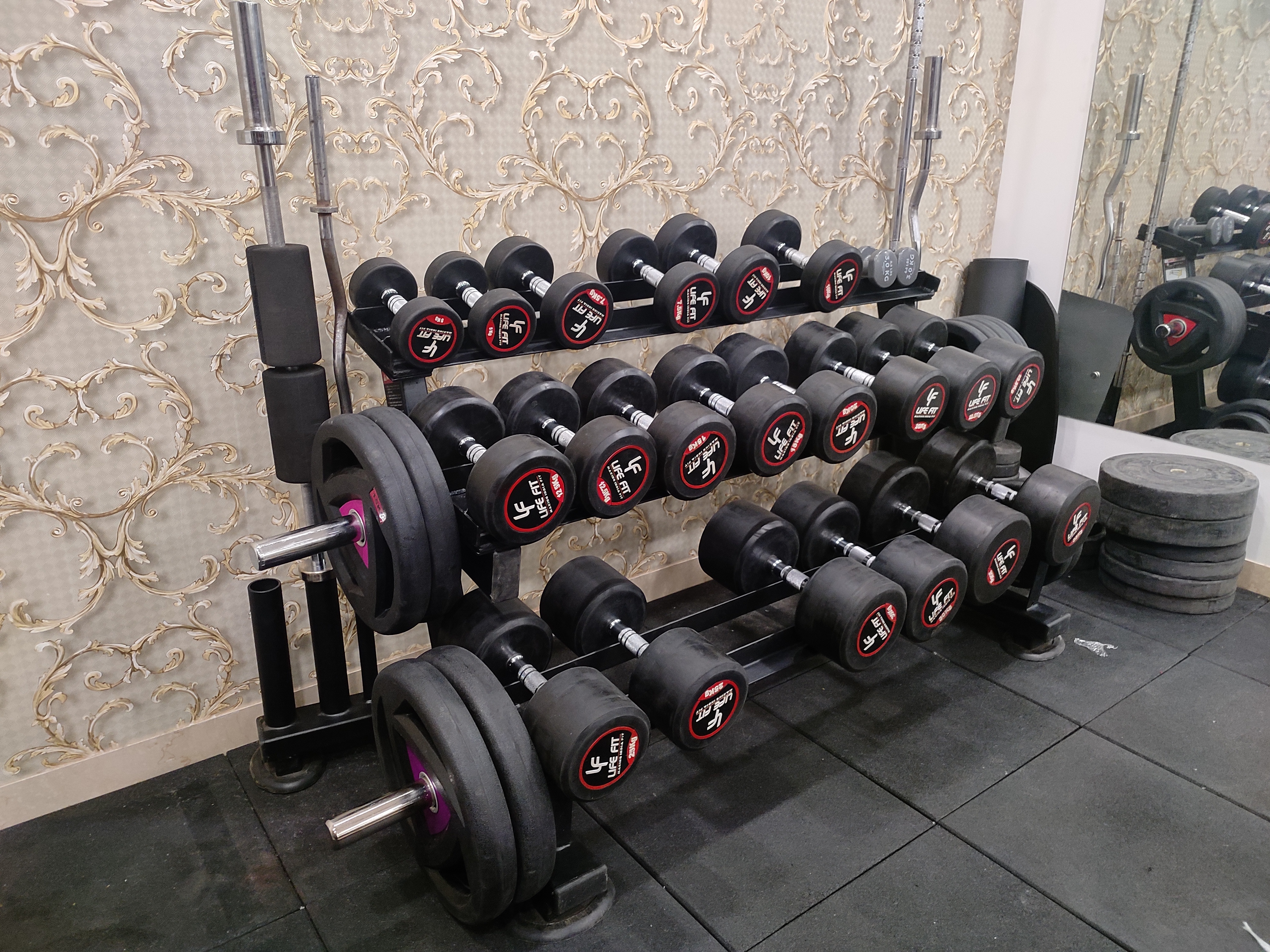 Heavy Duty Dumbbell Rack - 12 Gauge Rectangular Or Capsule Apollo Isi Pipe, Advanced Double Effect Welding Technology For Stability, Soft Foam Seat Cover For Comfortable Workouts, 1 Year Warranty