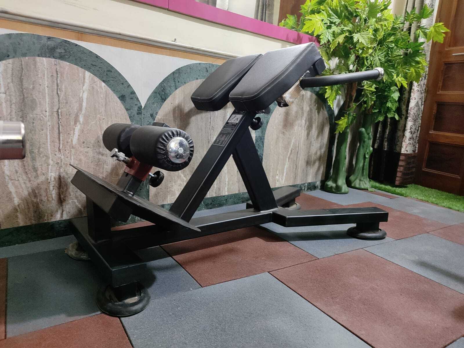 Hyperextension Bench Application: Endurance