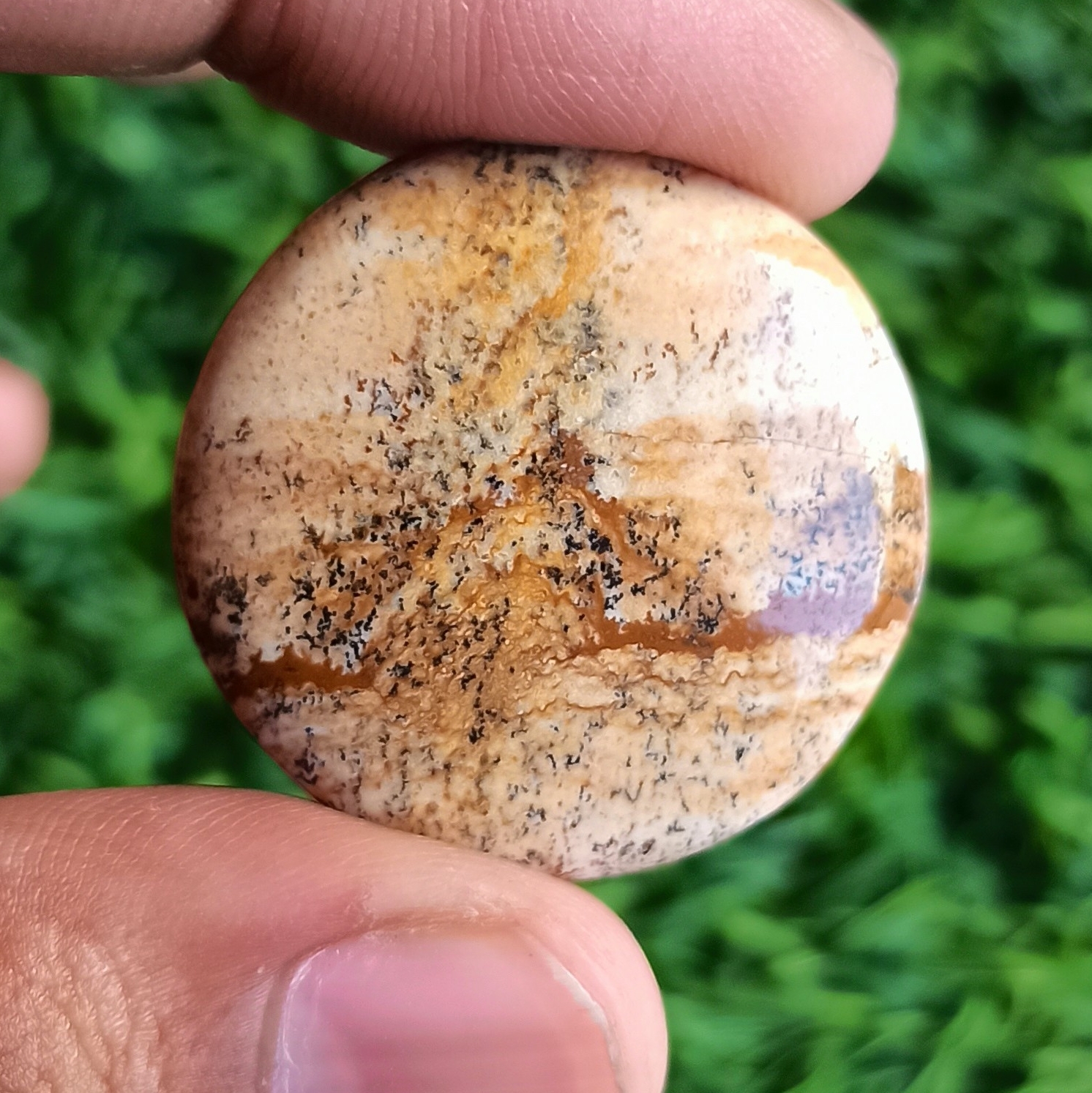Picture Jasper Cabochon