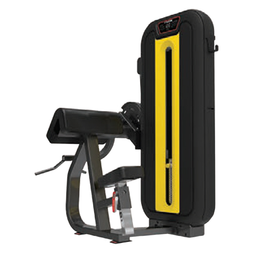 Ld-830 कैम्बर कर्ल एप्लीकेशन: टोन अप मसल