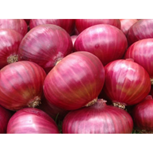 Red Onion - Fresh, Raw | Moisture Level: Nil, Naturally Crisp