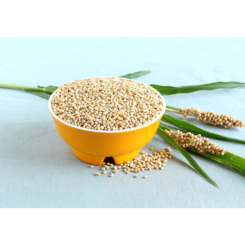 Natural Jowar - Smooth Texture, Moisture Nil, High Purity | Fresh, Common Cultivation Grain for Rotis, Upma, Idlis and More