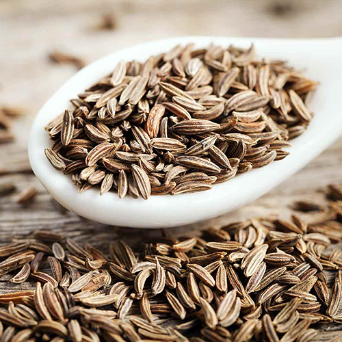 Cumin Seed - First Class Quality, Fresh Raw Processing - Store in Dry Place