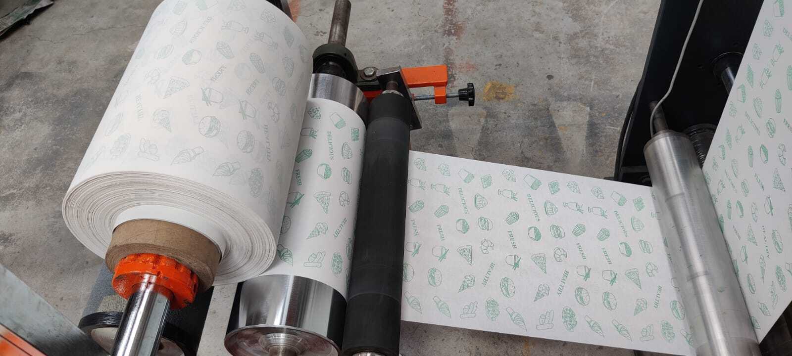 1 Single Colour Flexo Printing Machine