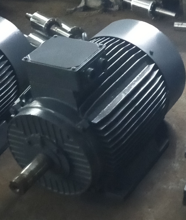 Electric Motor