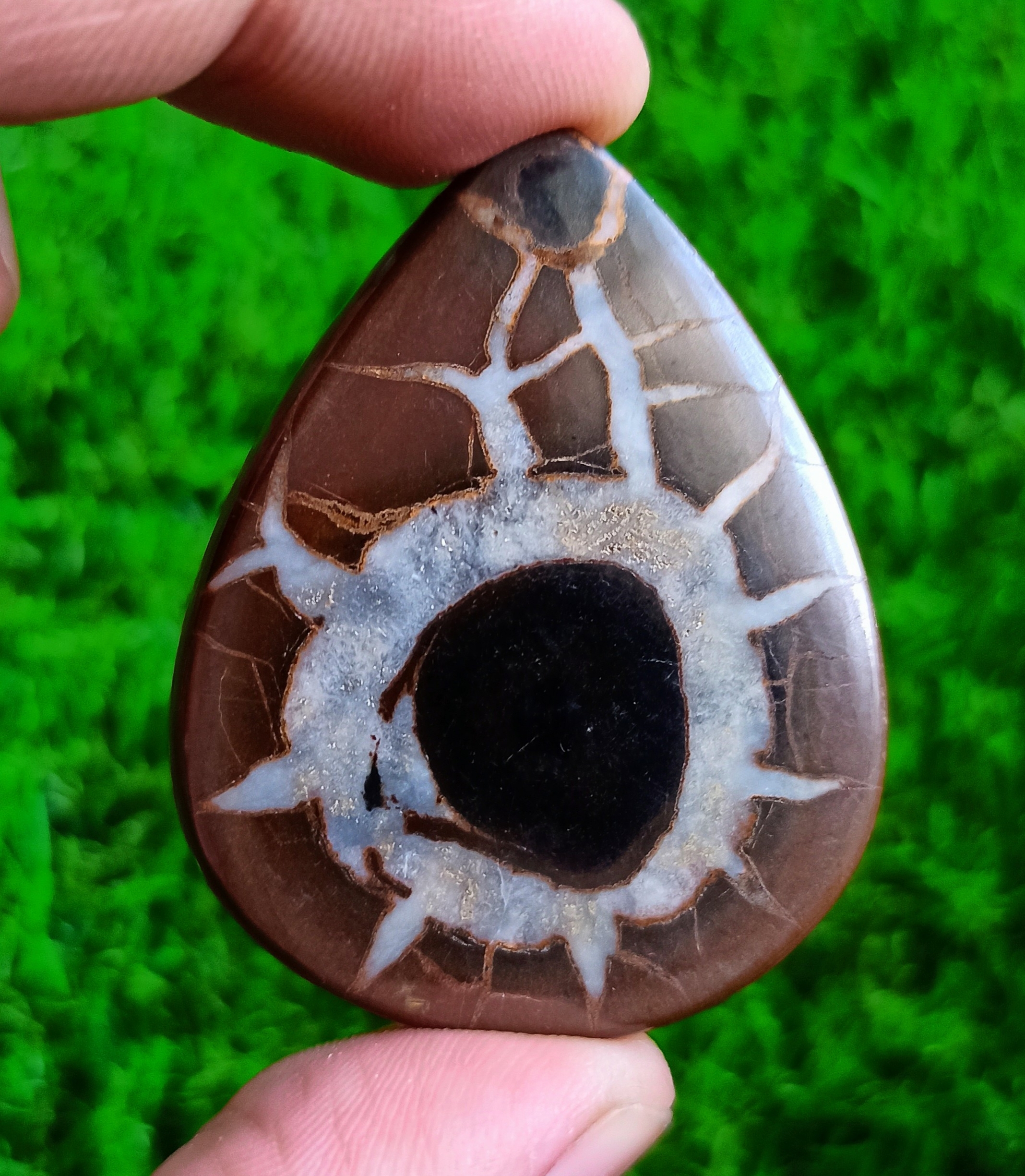 Septerien Cabochon Grade: Top
