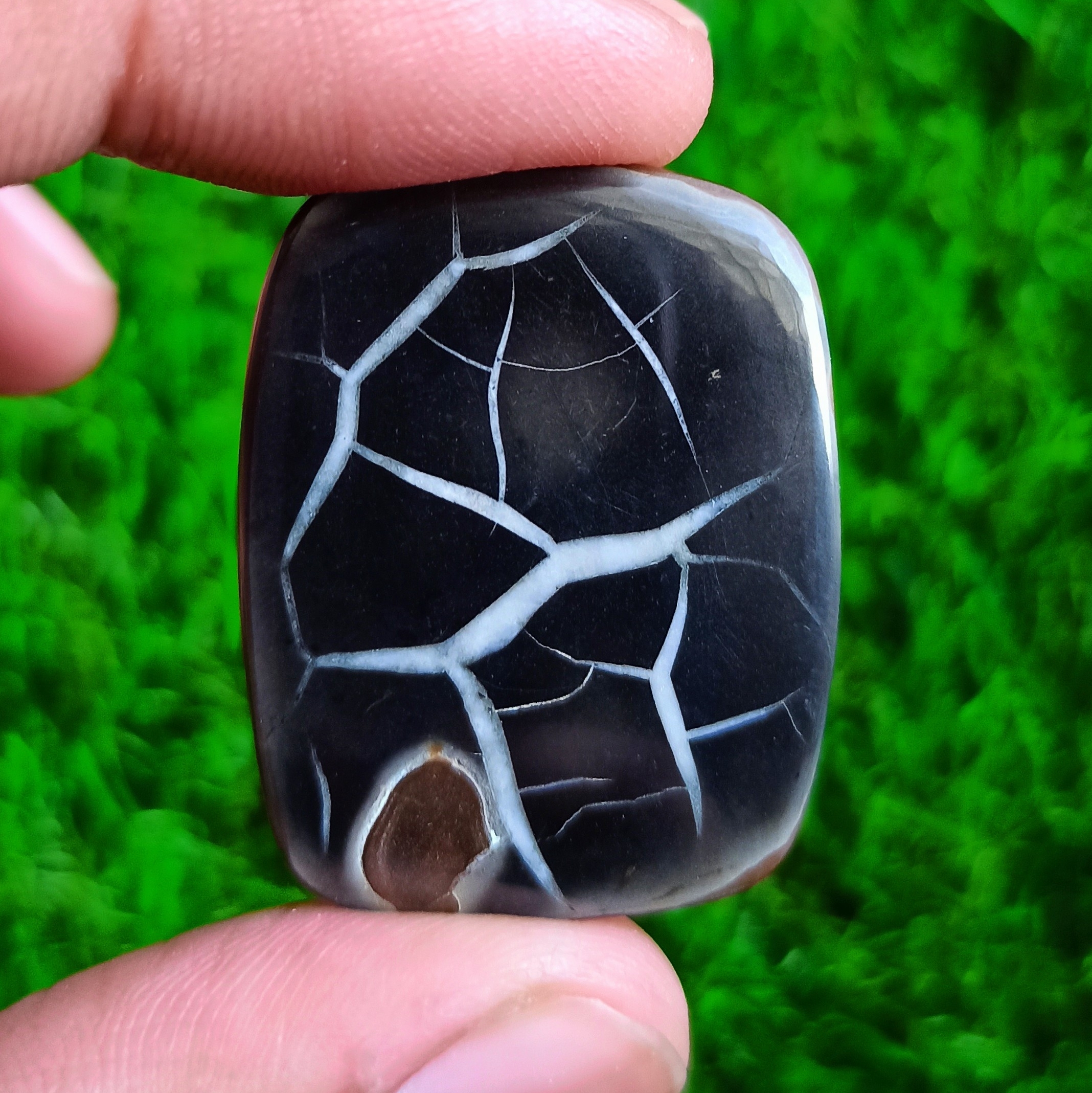 Septerien Cabochon Grade: Top