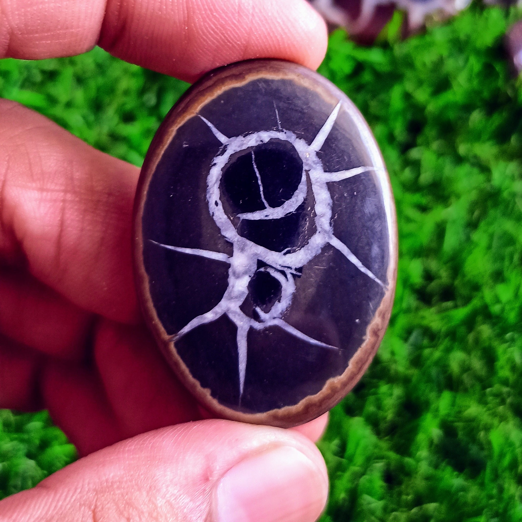 Septerien Cabochon Grade: Top