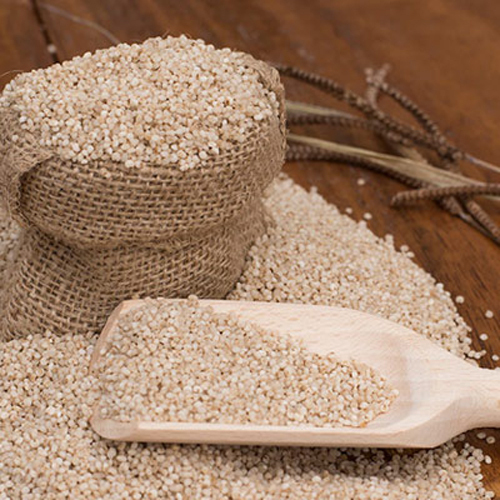 Food Grade Kodu Millet - 99.97% Pure, 20 Mesh Particle Size | Organic, Dried, High Fiber, Gluten-free, Rich In Protein, Supports Diabetes Management